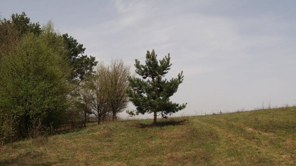 Битиця з panoramio.com - Битица