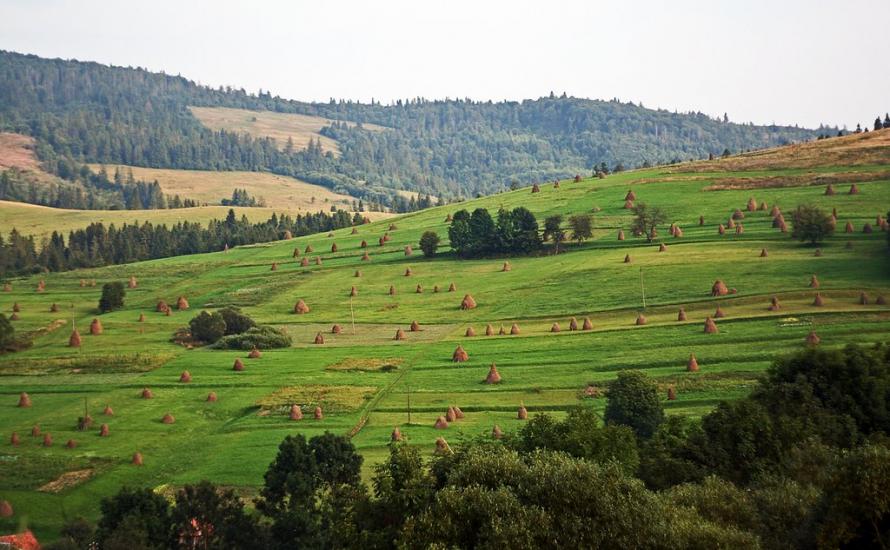 Абранка з panoramio.com - Абранка
