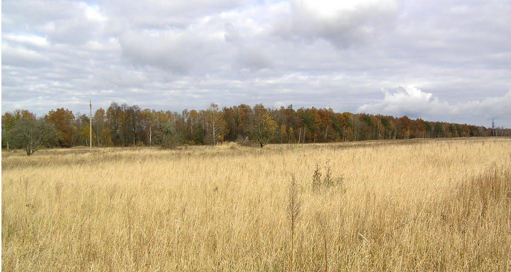 Бондарівка з panoramio.com - Бондаревка