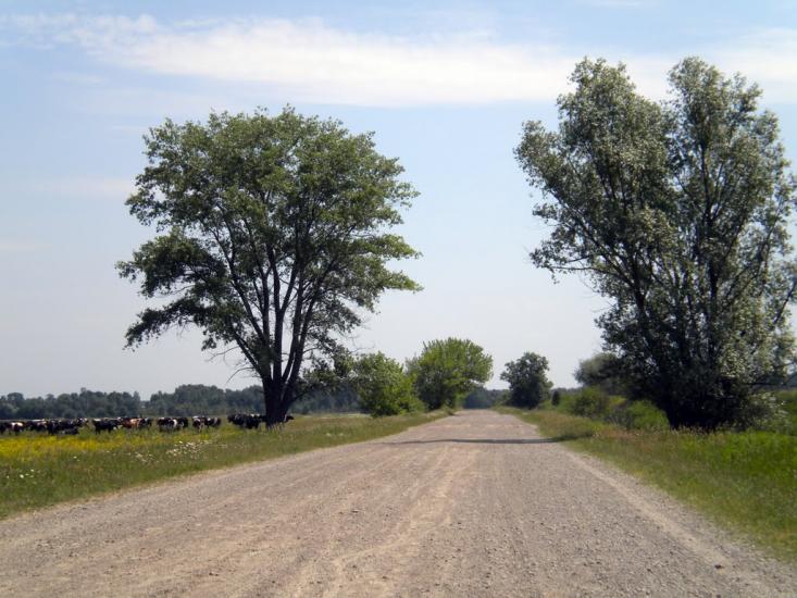 Кунин з panoramio.com - Кунин