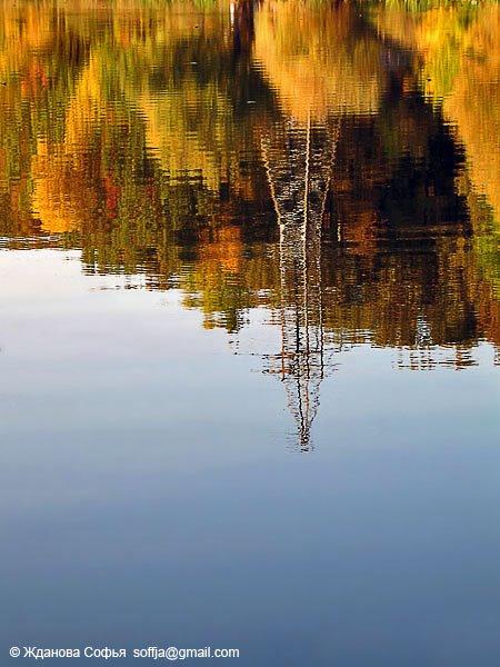 Лісне з panoramio.com - Лесное
