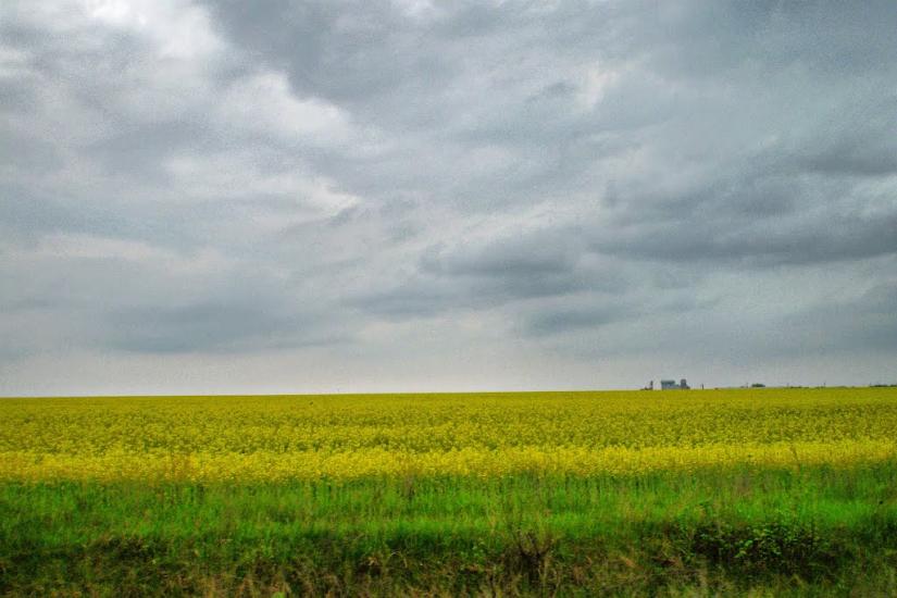 Широке з panoramio.com - Широкое