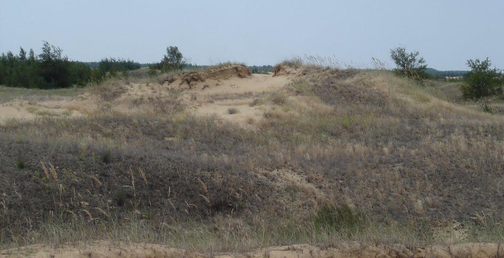 Пролетарка з panoramio.com - Пролетарка