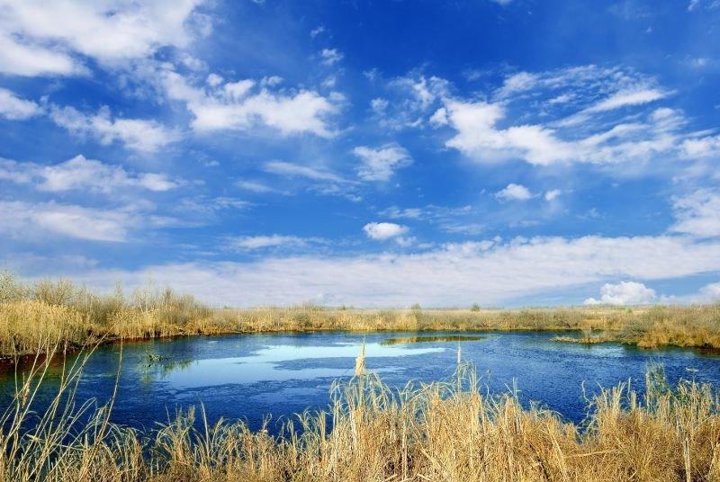 Знаменівка з panoramio.com - Знаменовка