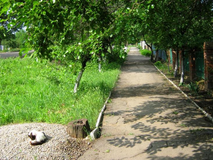 Оріхів з panoramio.com - Орехов