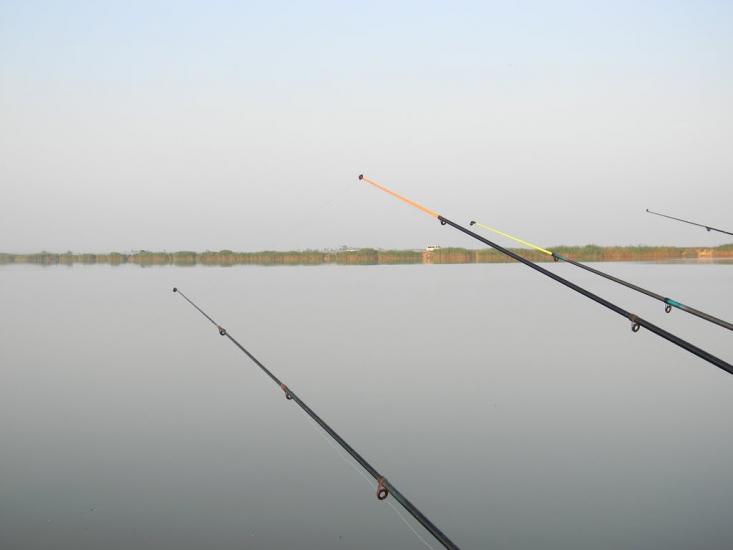 Криловка з panoramio.com - Криловка