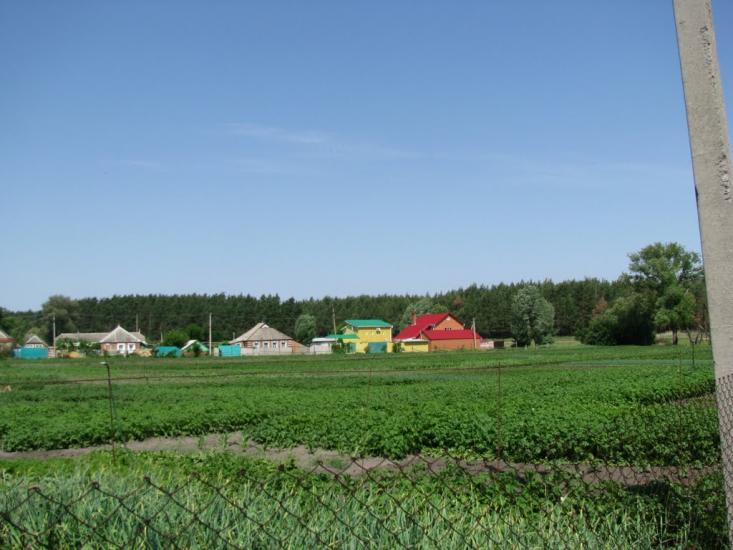 Циркуни з panoramio.com - Циркуны
