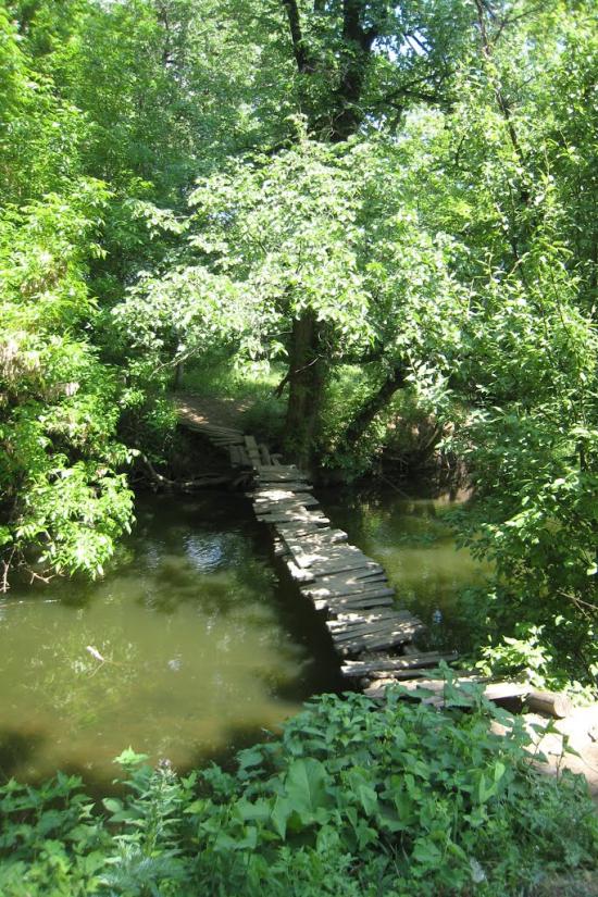 Зуївка з panoramio.com - Зуевка