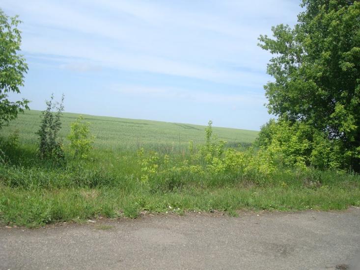 Іванківці з panoramio.com - Іванківці