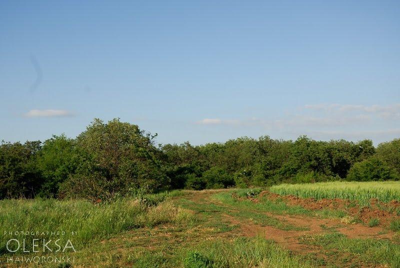 Вікторівка з panoramio.com - Викторовка