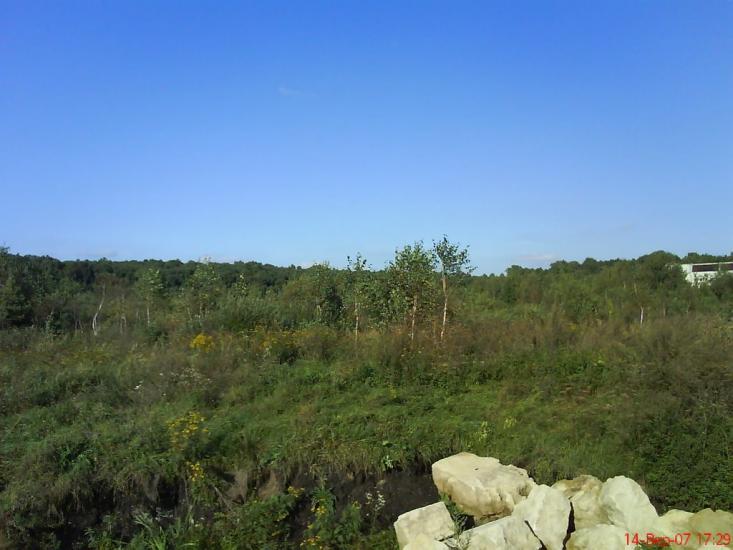 Рясне-Руське з panoramio.com - Рясное-Русское