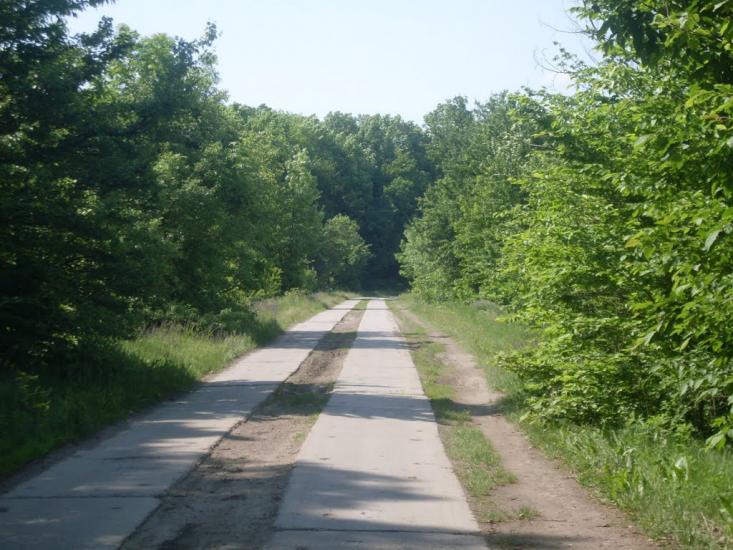 Трубочка з panoramio.com - Трубочка