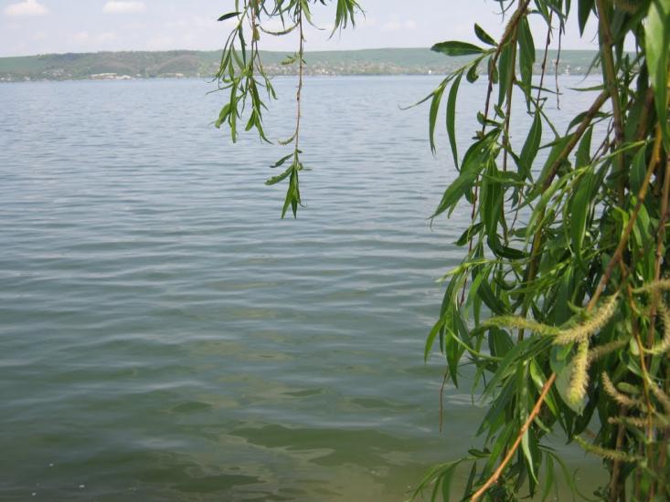 Бовшів з panoramio.com - Бовшов