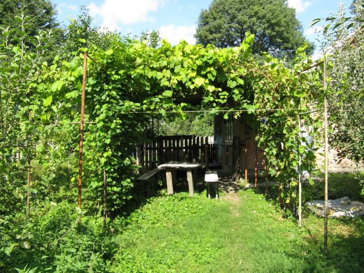 Великі Крушлинці з panoramio.com - Velyki Krushlyntsi