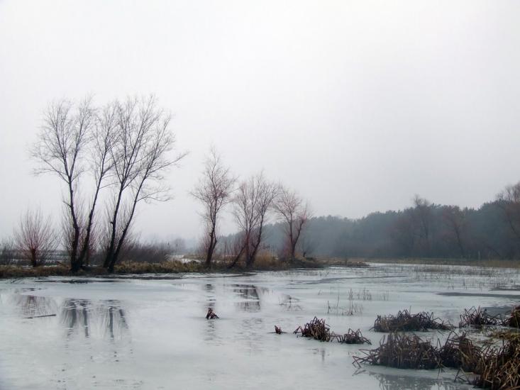Ланівці з panoramio.com - Ланівці