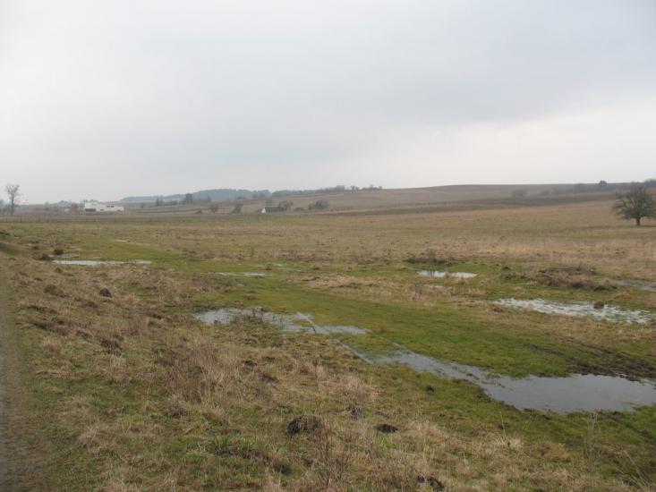 Великі Глібовичі з panoramio.com - Velyki Glibovychi