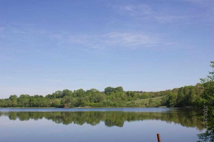 Чернявка з panoramio.com - Чернявка