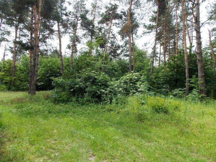 Китайгород з panoramio.com - Китайгород