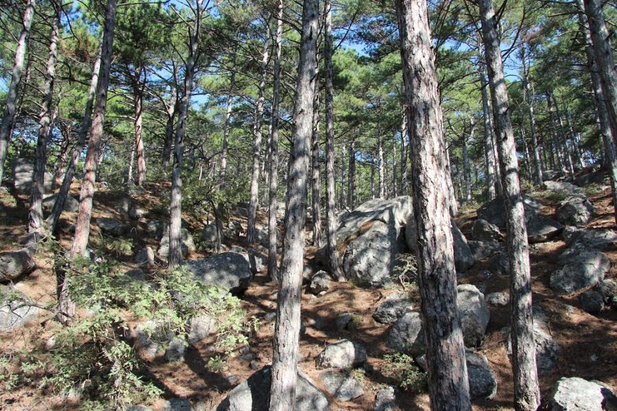 Паркове з panoramio.com - Парковое