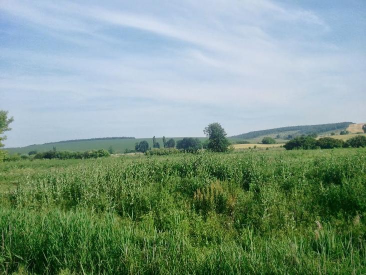 Новоукраїнка з panoramio.com - Новоукраїнка
