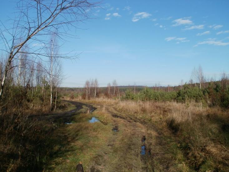 Рясне-Руське з panoramio.com - Рясное-Русское