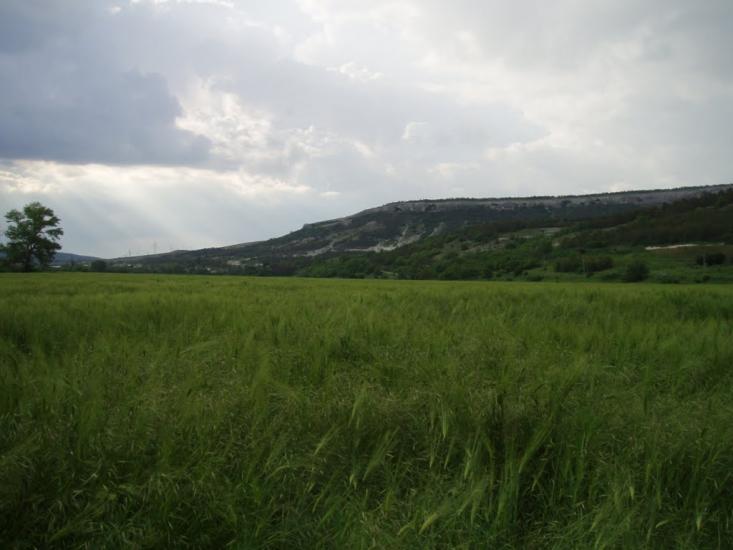 Каштанове з panoramio.com - Каштановое