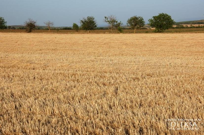 Табачне з panoramio.com - Табачное