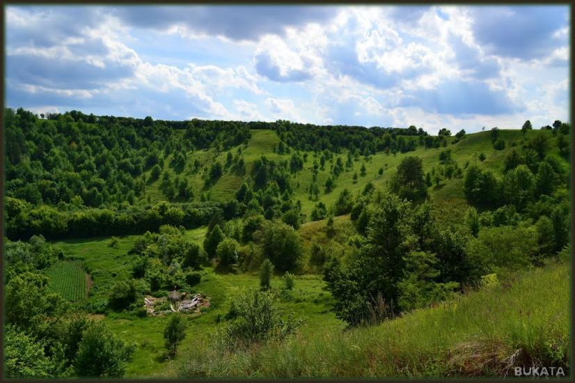 Михайлівка з panoramio.com - Михайлівка