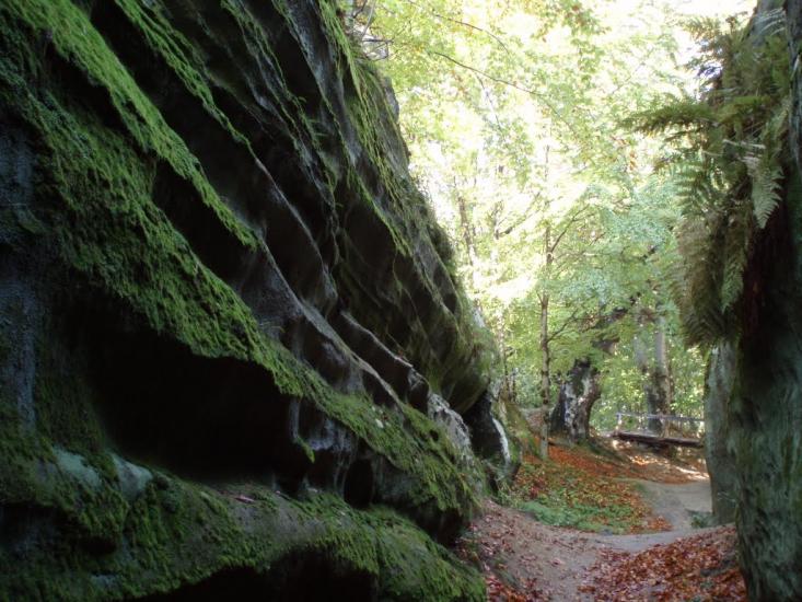 Поляниця з panoramio.com - Поляница