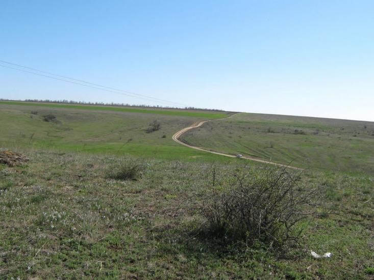 Будячки з panoramio.com - Будячки