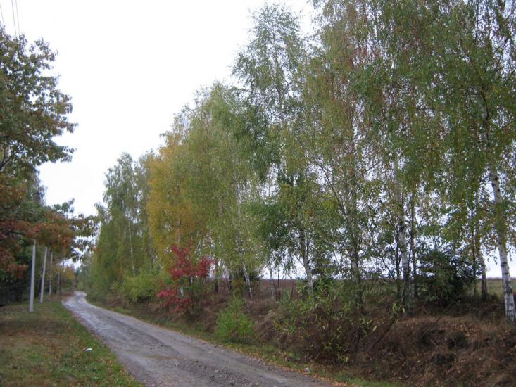 Дебеславці з panoramio.com - Debeslavtsi
