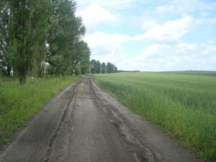 Давидківці з panoramio.com - Давыдковцы
