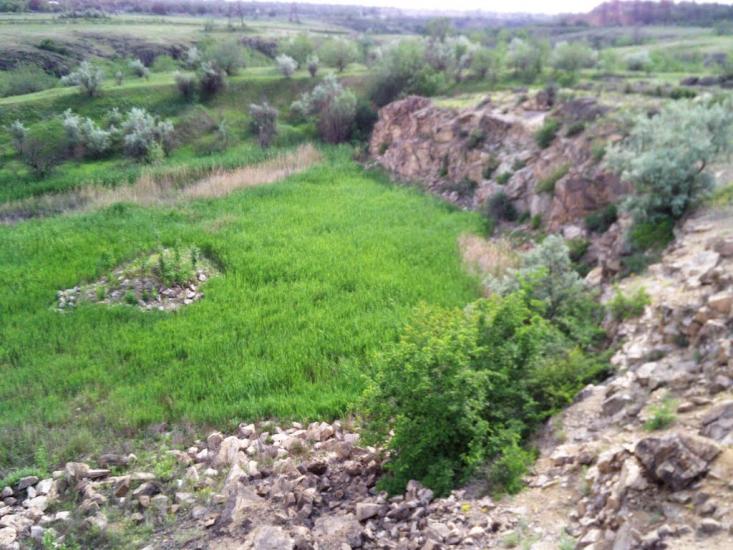 Степне з panoramio.com - Степное