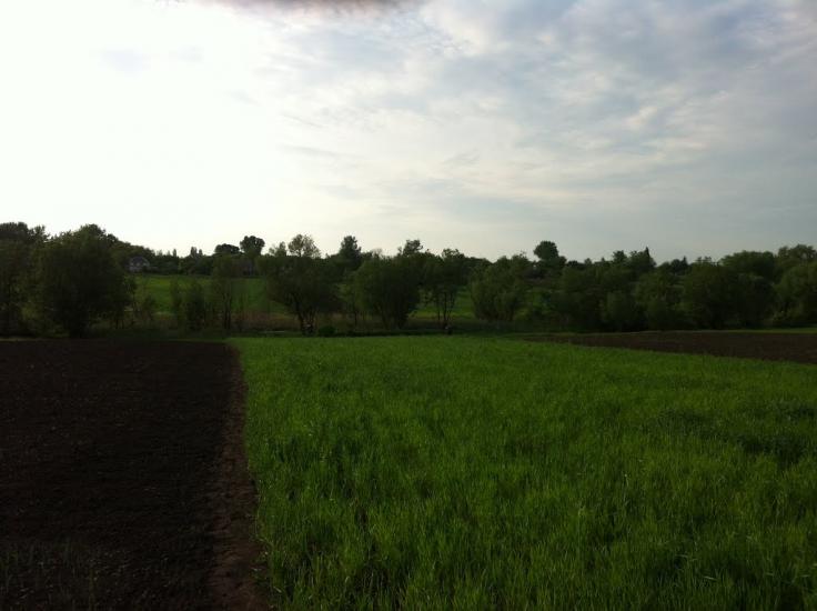 Іванівка з panoramio.com - Іванівка