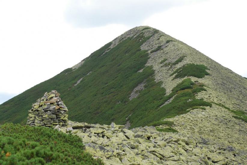 Черник з panoramio.com - Черник