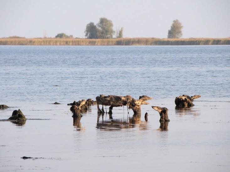 Кедина Гора з panoramio.com - Кедина Гора