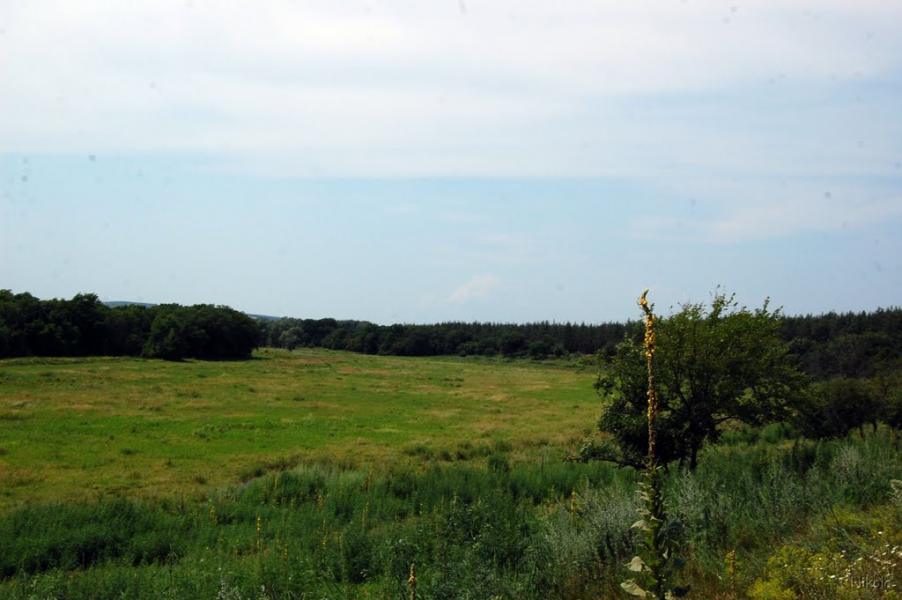 Борове з panoramio.com - Борове