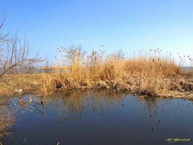 Шабо з panoramio.com - Shabo