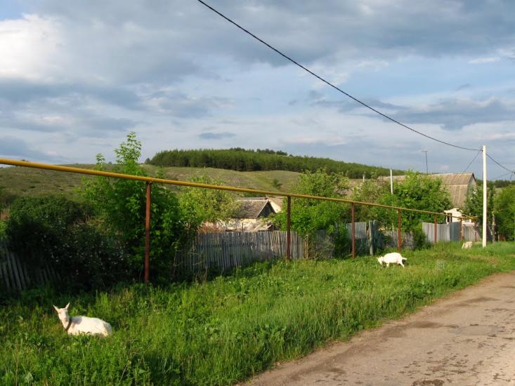 Біленьке з panoramio.com - Біленьке