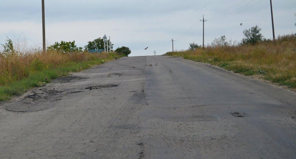 Єреміївка з panoramio.com - Еремеевка