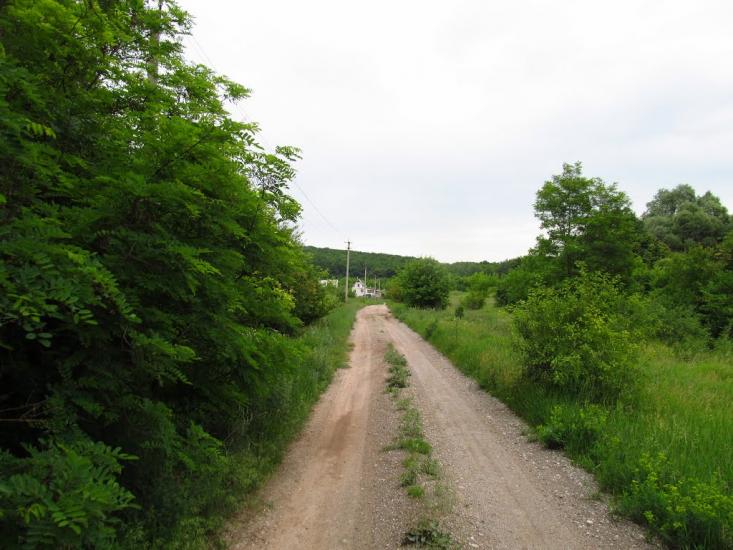 Приліпка з panoramio.com - Прилипка