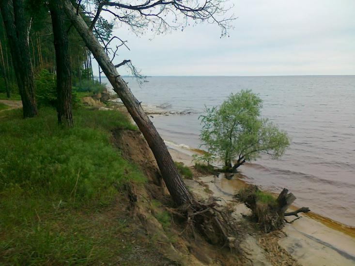 Лютіж з panoramio.com - Lyutizh