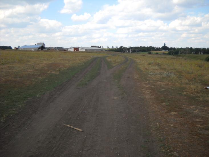 Дібрівка з panoramio.com - Дібрівка