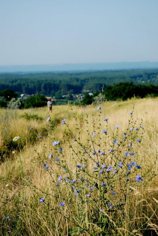 Червоний Оскіл з panoramio.com - Червоний Оскіл