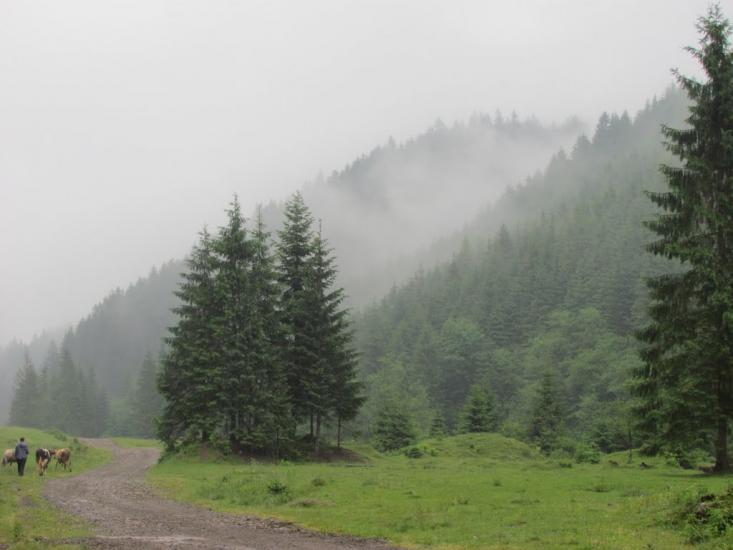 Нижня Рожанка з panoramio.com - Нижняя Рожанка