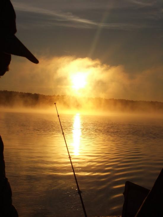 Прохорівка з panoramio.com - Прохорівка