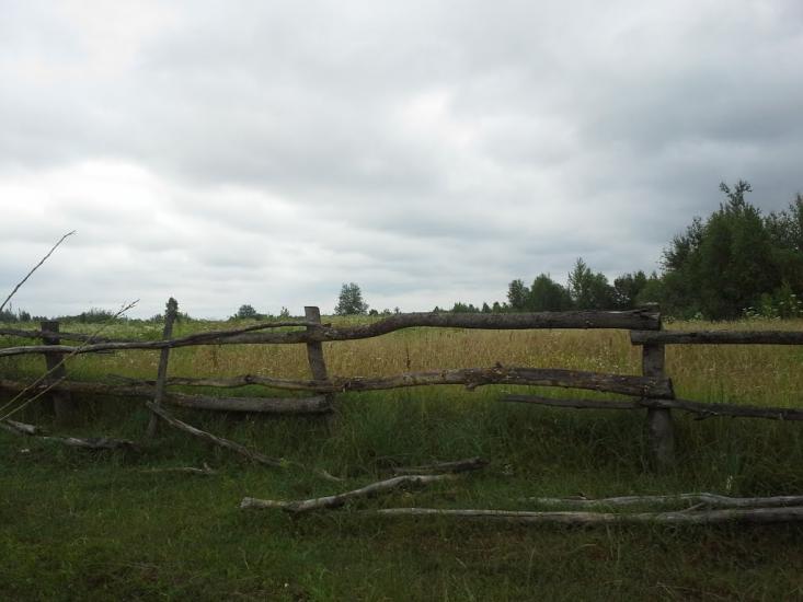 Сошники з panoramio.com - Сошники