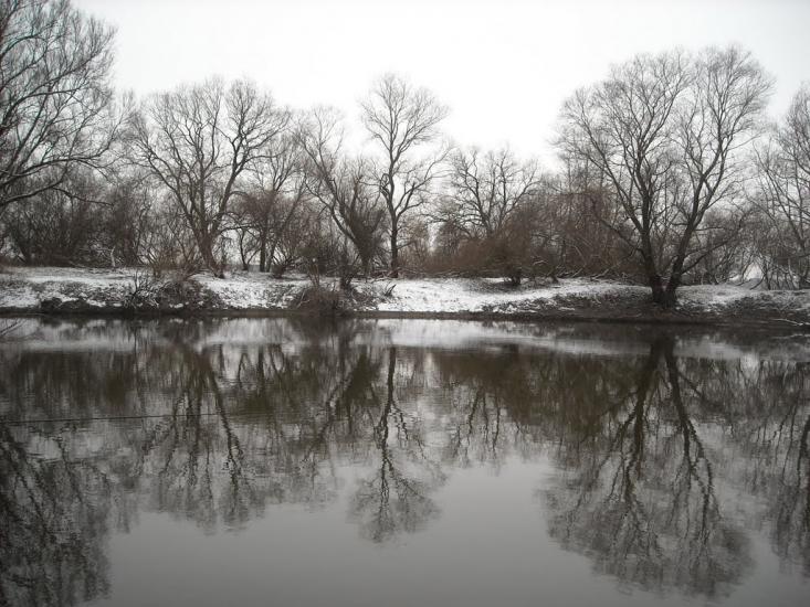 Литовеж з panoramio.com - Литовеж