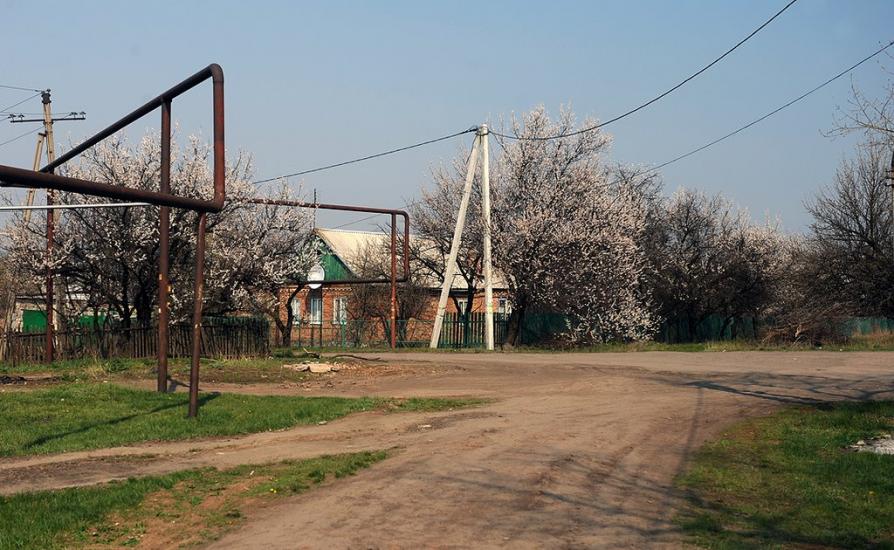 Новгородське з panoramio.com - Новгородське