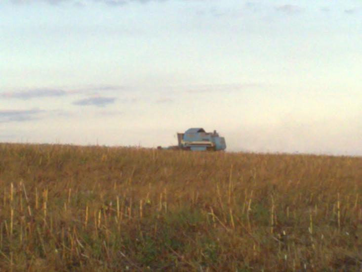 Питомник з panoramio.com - Питомник